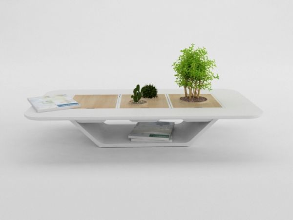 Bonsai modular table