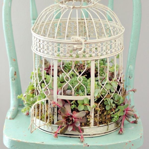 Birdcage planter