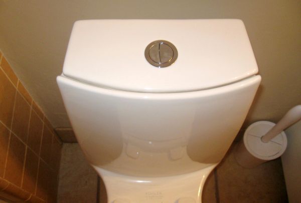Dual flush toilets