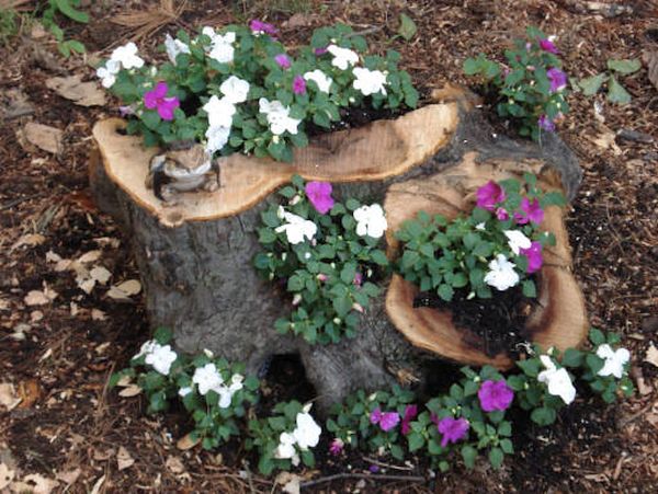 Tree stump planter