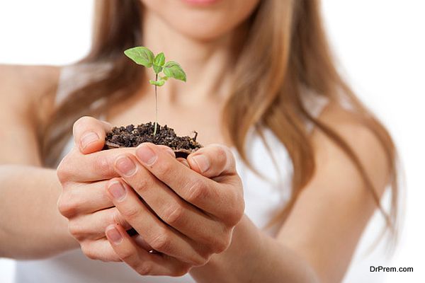 green plant sprout in female hand