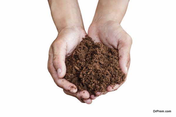 soil paet moss on hand isolated white background