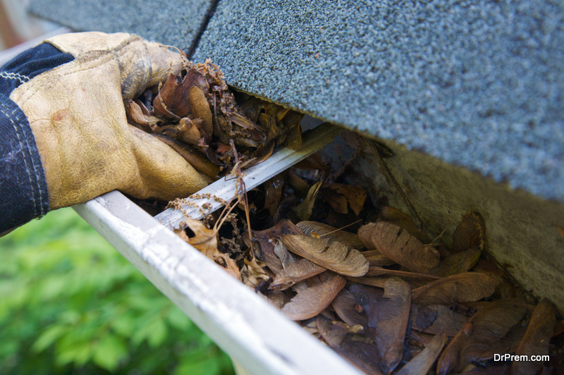 Gutter Cleaning